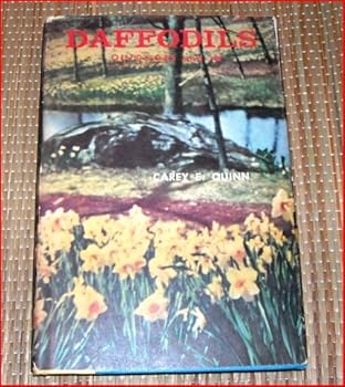 Hardcover Daffodils, Outdoors and In Book