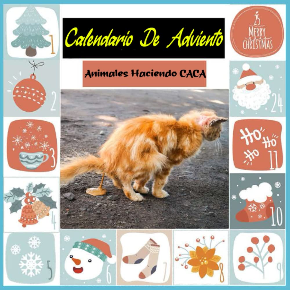 Calendario 2025 Pared A4 The Calendar King - Only Fans - Calendario De Pared 2025 - Divertido/peculiar/Navidad/cumpleaños/idea De Regalo/novedad/humor/amigo Calendario Snoopy 2026