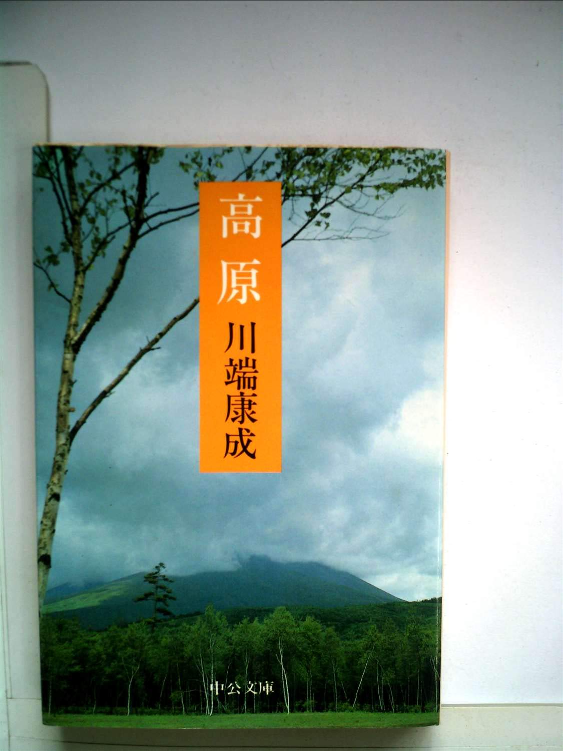 高原 川端康成 中公文庫 高原 (1982年) (中公文庫) |本 | 通販 | Amazon
