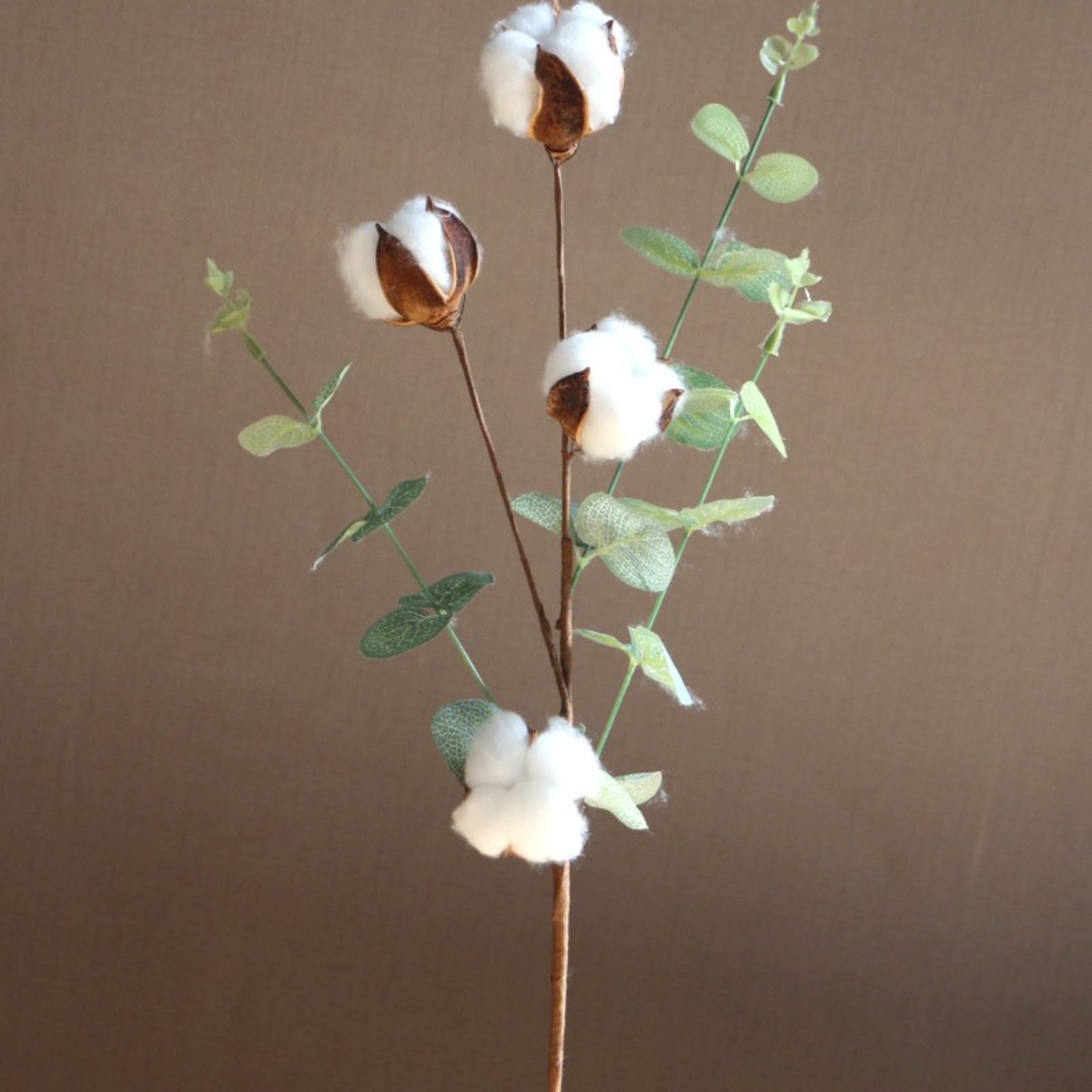Fleurs séchées en coton avec 4 feuilles d'eucalyptus
