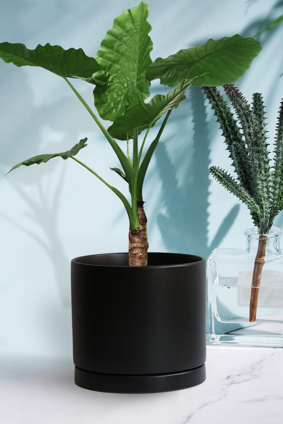 Yukfona Ceramic Plant Saucer Pot Tray 10 Inch, Planter Saucers 4 5 6 7 8 9 10 11 12 13 Inch for Indoors Outdoor, Durable Sturdy Flower Drainage drip Water Tray for Glazed Pots Base (10.7 Inch-Black)