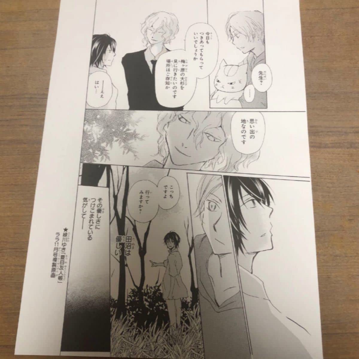 Amazon.co.jp: 夏目友人帳 緑川ゆき lala 漫画 マンガ 複製原画 複製