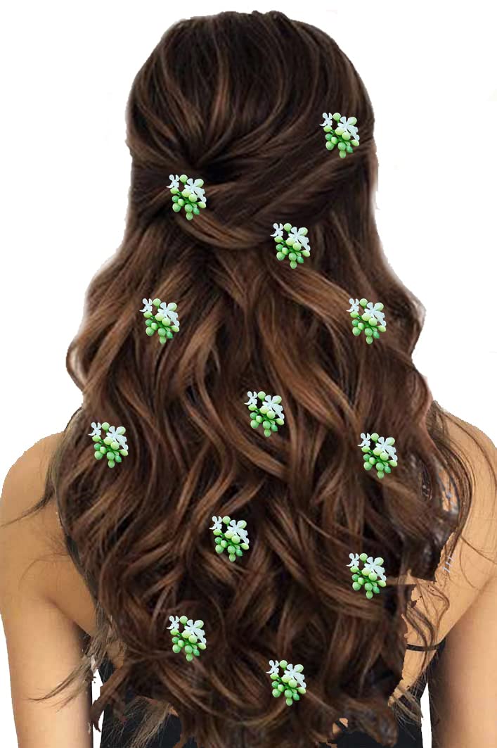 Hair Flare Artificial Pollen Hair Pin for Women || 12 Hairpins | Hair Accessories| Judabun| Judapin for Women & Girls - 2356 (B09WN2T1B5) Amazon Price History, Amazon Price Tracker
