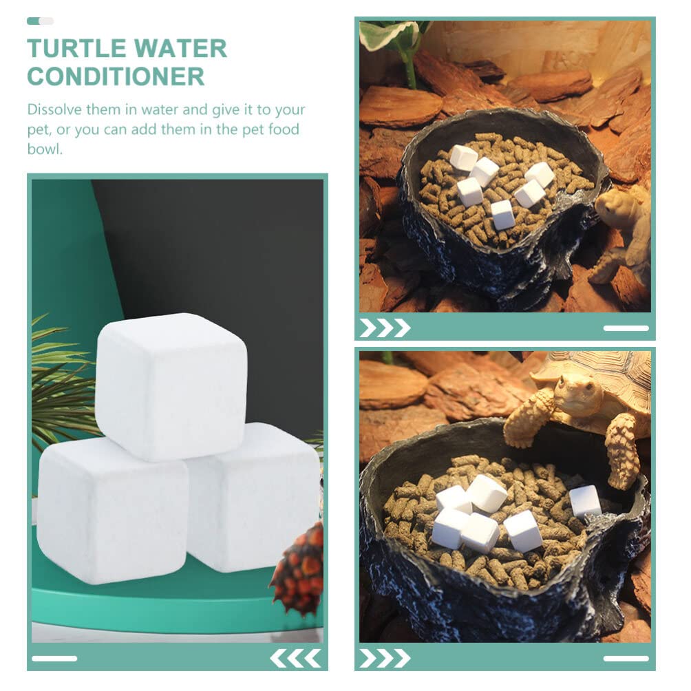 50 Pcs Calcio De Tortuga Acuática Suministros De Tortuga Calcio Mineral Reptil Calcio para Reptiles Polvo De Calcio De Tortuga Pulverizador Bloque Mineral Tanque De Tortuga