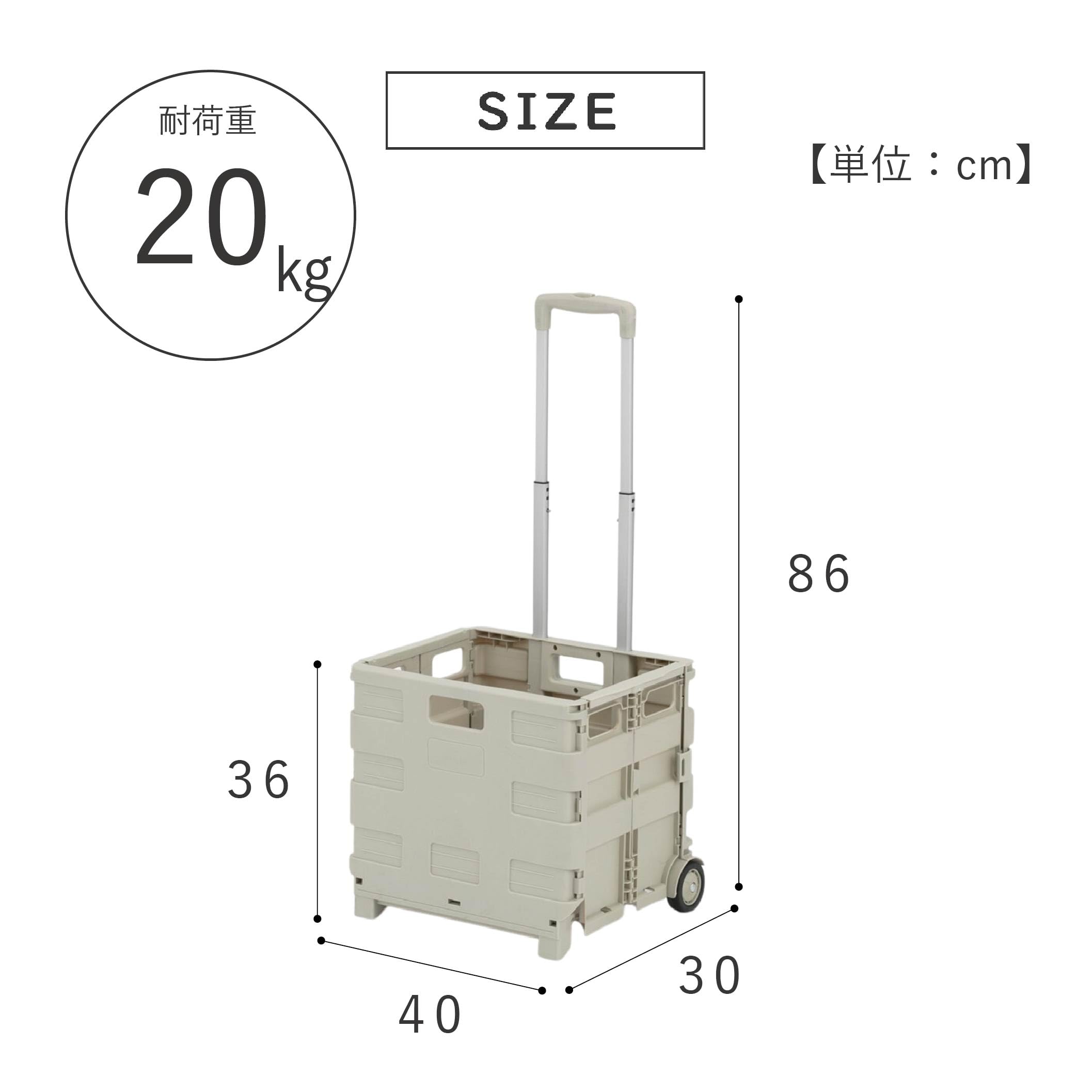 Amazon.co.jp: 武田コーポレーション 【アウトドア・折りたたみ