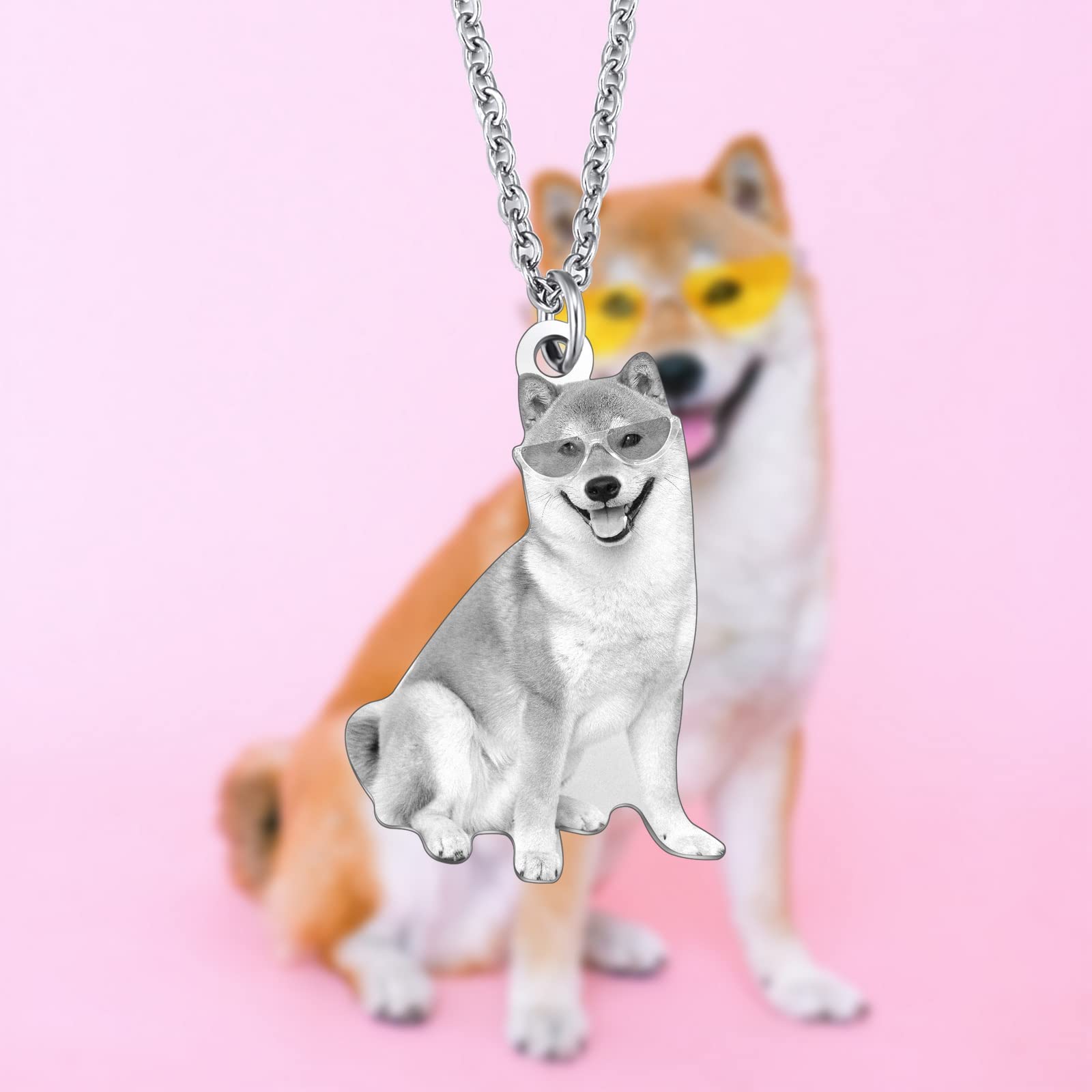 INBLUE Custom Photo Necklace Gifts for Dog Cat Lovers Personalized Pet Picture Stainless Steel Pendant Necklace Round/Heart Shaped Cat Dog Memorial Gifts(Style1)