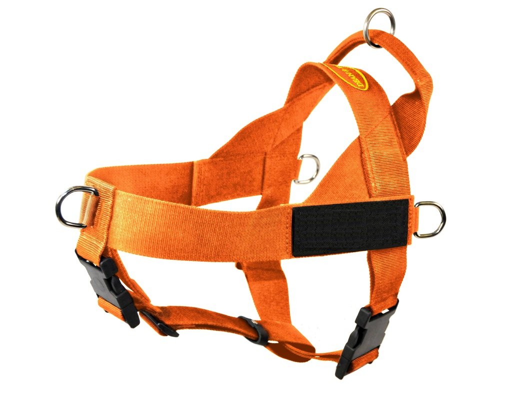 Harnais pour chien anti-traction réglable avec patches amovibles Dean & Tyler