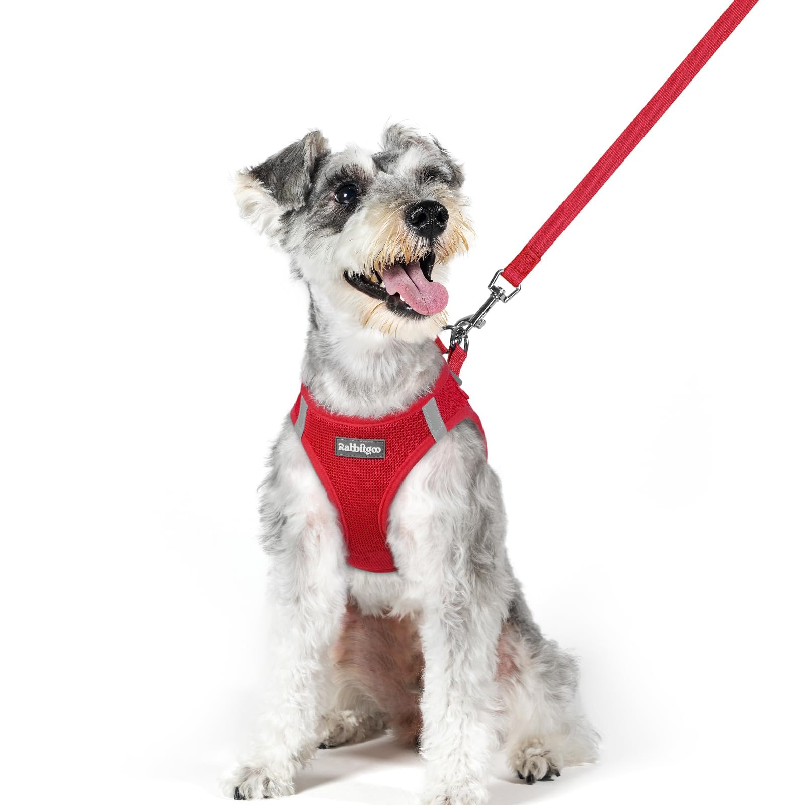 rabbitgoo Dog Harness Medium Sized and Leash Set, Step-in Puppy Pet Vest
