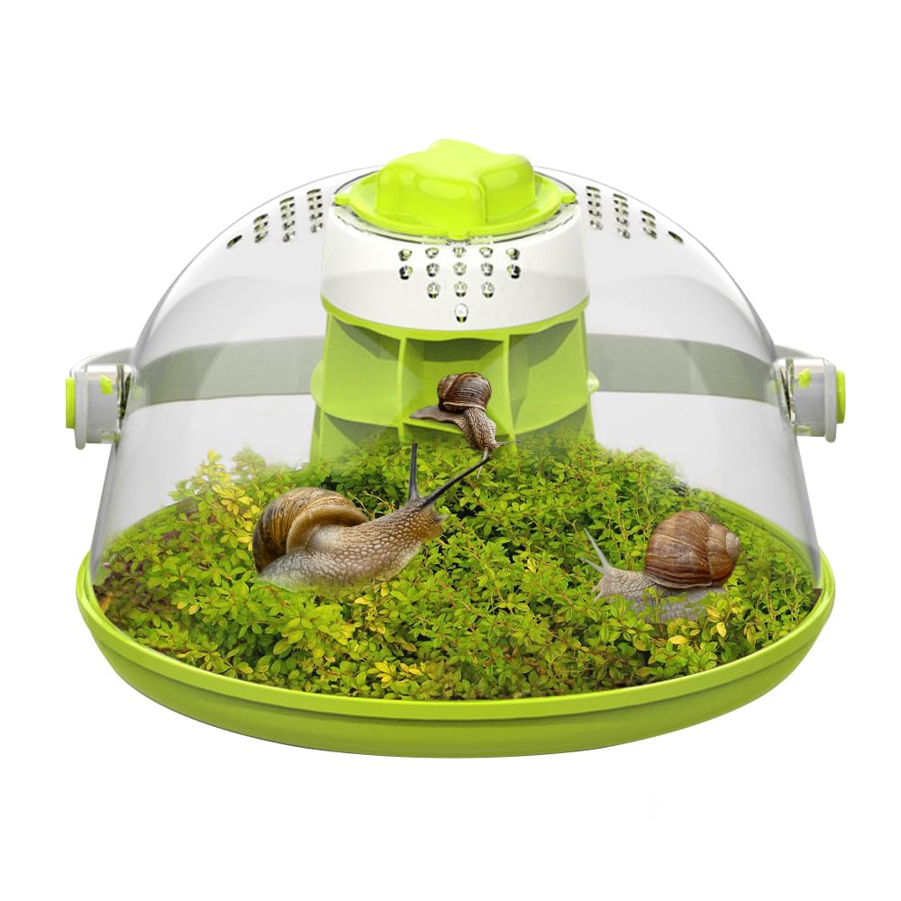 Snail Terrariums Breeding Box, Round Habitat Starter Terrarium Kit, Transparent Feeding Box, Ideal for Beetles, Spiders and Small Reptile