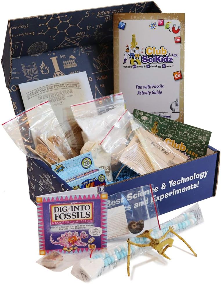 Club SciKidz STEM Box Fossil Fun Science Kit for Kids