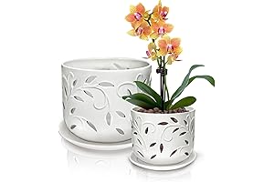 Orchid Pots with Holes - Ceramic Planters with Enhanced Drainage