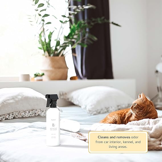 pet travel essentials