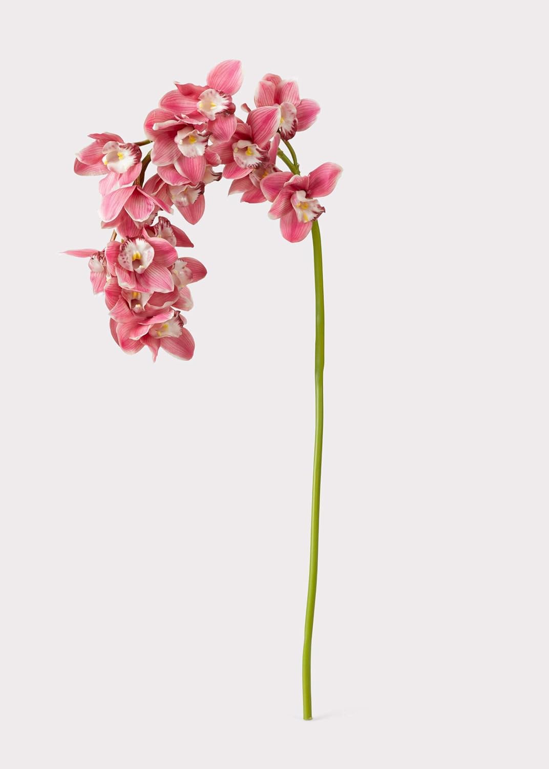 Large Pink Natural Touch Cymbidium Orchid - 45"