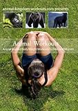 Animal Workouts -The DVD Course