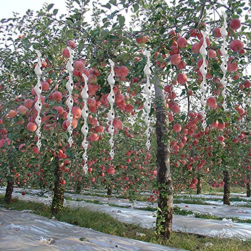 Kungfu Mall Lot De 3 Chouettes Artificielles Pour éloigner Les Oiseaux - Décoration Réfléchissante à Suspendre - Motif Hibou Imprimé Double Face Pour éloigner Les Oiseaux Et Les Pigeons De La Terrasse