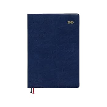 Amazon.co.jp: ダイゴー 手帳 2025年 スケジュール帳 アポイント