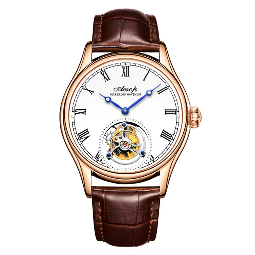 AesopMen Mechanical Tourbillon Watches Hand Wind Sapphire Stainless Steel Skeleton Wrist Watches 50M Waterproof Luxury Business Watch with Genuine Leather Strap