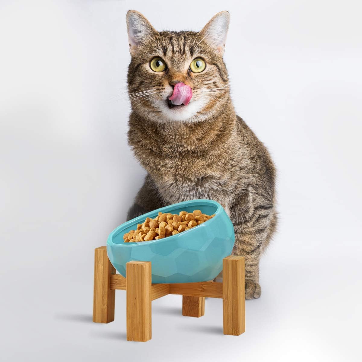 Lifetech Ceramic Dog Bowl Raised Cat Bowl Slanted Cat Dish with Wood Stand Pet Food Water Feeder No Spill Pet Feeding Bowls Tilted Cat…