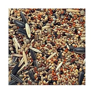 RS Birds & Grains Pet Love’s Mix Seed Bird Food | Seed Food for Birds of All Life Stages / 1 KG,Pack of 1