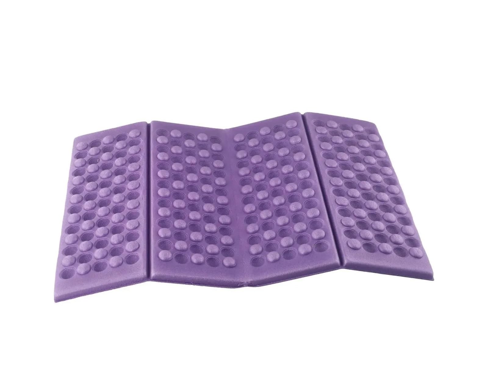 ZYAYNG Outdoor Picnic Camping Mat Beach Foldable XPE Cushion Hiking Portable Small Mats Egg Trough For Travel(Purple)