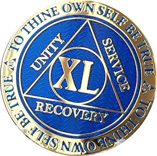 40 Year AA Medallion Dusty Blue Color Gold Plated Chip XL