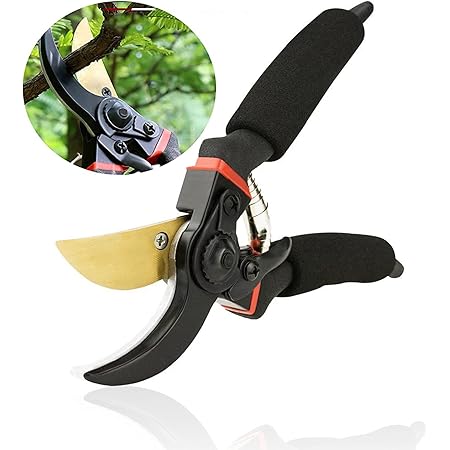 Amazon Skytop 園芸用はさみ 剪定鋏 刈り込みばさみ 高枝切りばさみ 剪定ばさみ 果樹 庭木の剪定 Sk 5 園芸用はさみ