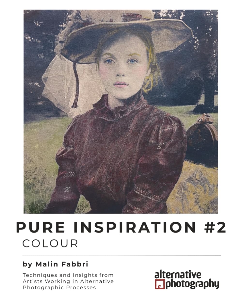 Pure Inspiration #2: Colour: Techniques and Insights from Artists Working in Alternative Photographic Processes (Inspiration for Alternative ... gum bichromates, platium prints and more)