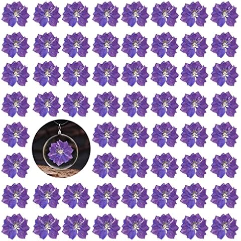 Purple Pressed Dried Larkspur Flowers, 60PCS Natural Real Dried Pressed Delphinium Flowers, Dry Flowers for Resin Art DIY Craft Ornament Candle Making Cover