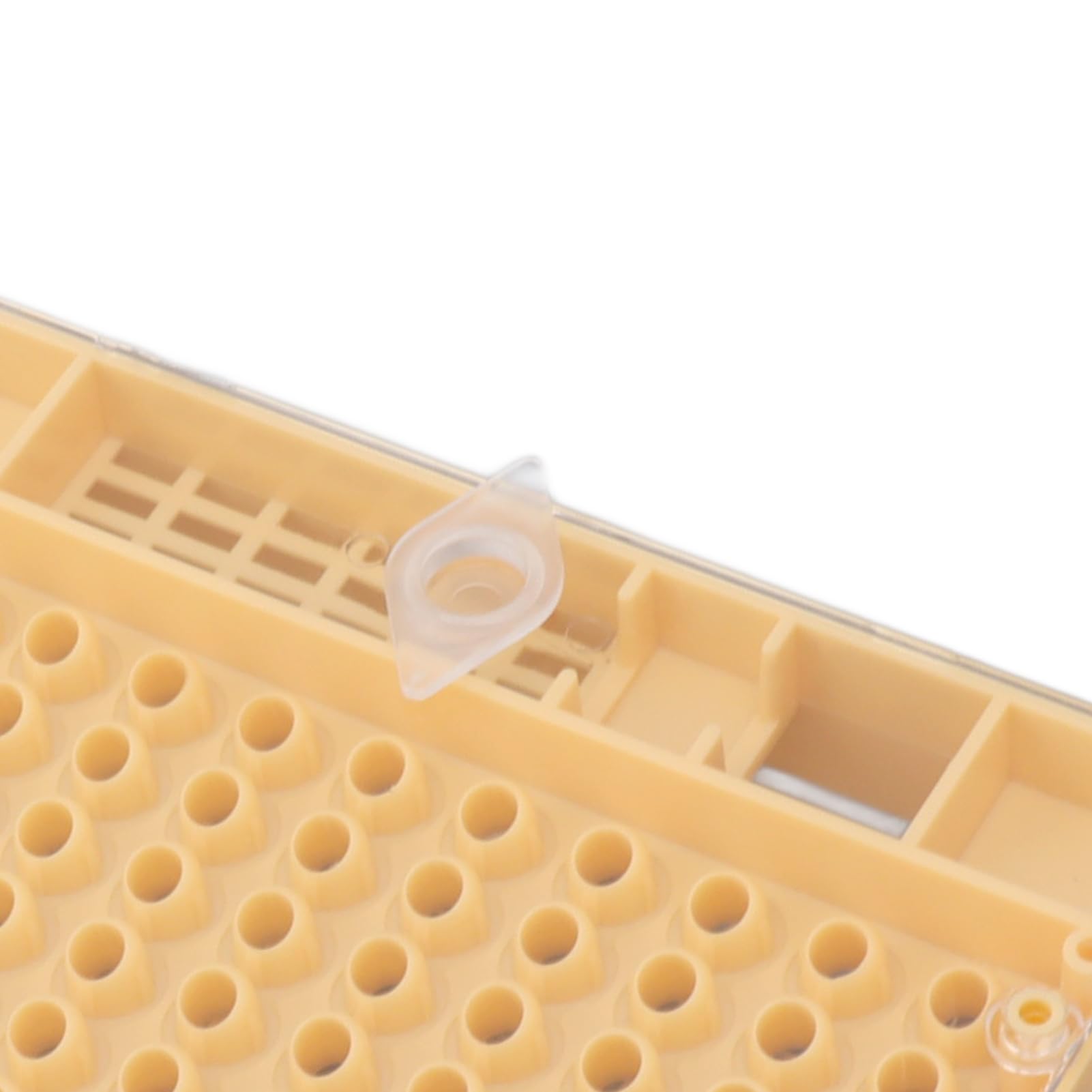 Jeffergarden Kit de Greffage Apicole, Système d'Élevage de Reines en Plastique, Coupelles de Cellules pour Apiculteurs Professionnels, Boîte de Culture Efficace pour Abeilles Reines