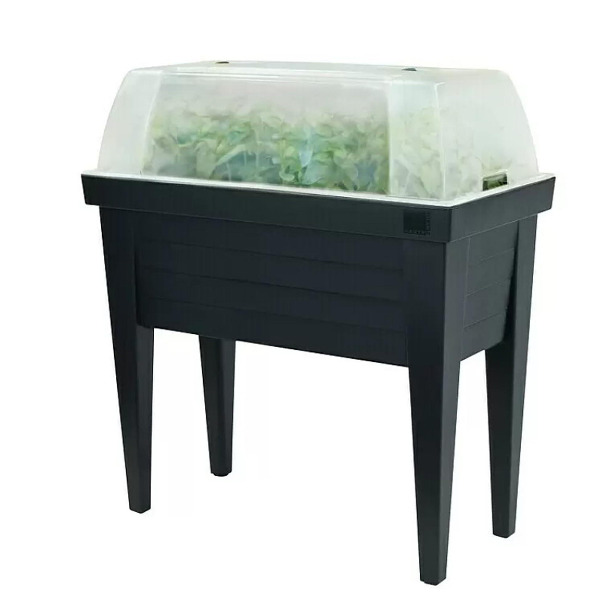 Bestlivings Maxi Hochbeet mit Haube 100x50x107cm, Frühbeet für Balkon und Garten mit Einstellbarer Belüftung, aus UV-beständig und wetterresistent