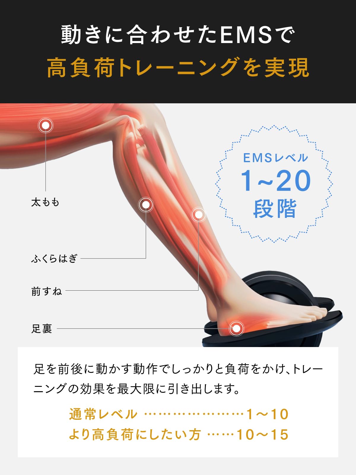 Amazon.co.jp: 【2024年度グッドデザイン賞】MYTREX マイトレックス