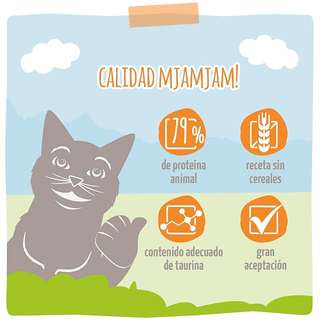 Foto 4 de 6 de MjAMjAM - Pienso seco Premium para Gatos - Comidas crujientes