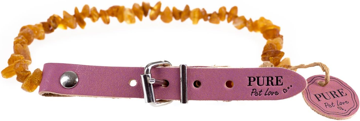 PetLove Amber Collar for Dogs and Cats Strawberry 51-55 cm