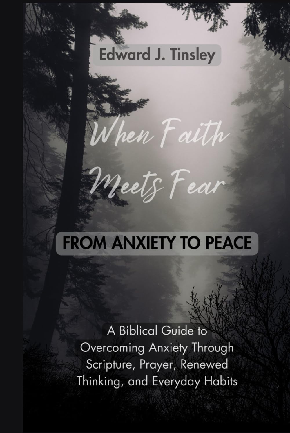 When Faith Meets Fear: From Anxiety to Peace: A Biblical Guide to Overcoming Anxiety Through Scripture, Prayer, Renewed Thinking, and Healthy Daily Habits