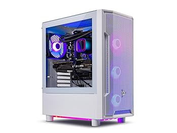 Amazon.com: Skytech Gaming Archangel Gaming PC Desktop