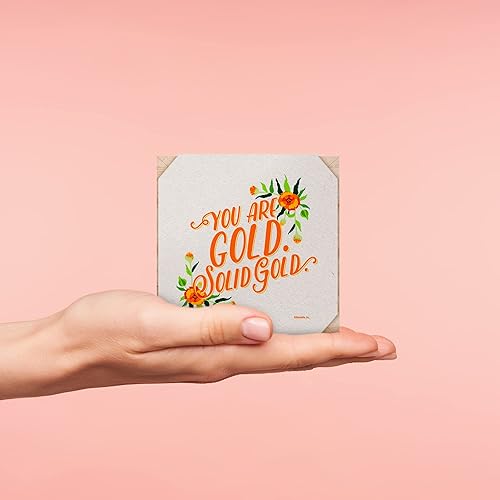 Miniatura 5 de Cheersville - Planta en un cubo, incluye paquete de semillas de no me olvides, caléndula y zinnia, pellet de turba y maceta de madera de 3 pulgadas,