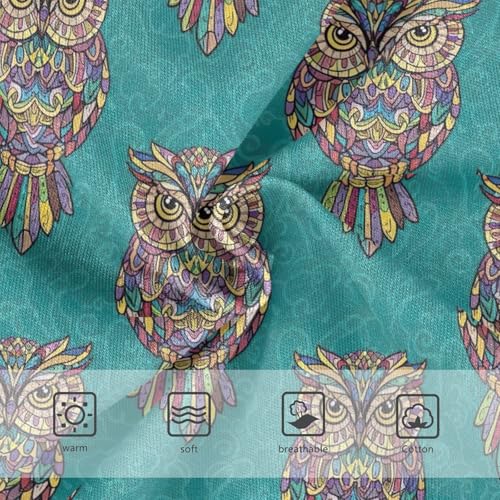 Joisal Colorful Owls Green Girls Underwear Toddlers 2t Cotton Little Girl Panties Animals Briefs Underpants3
