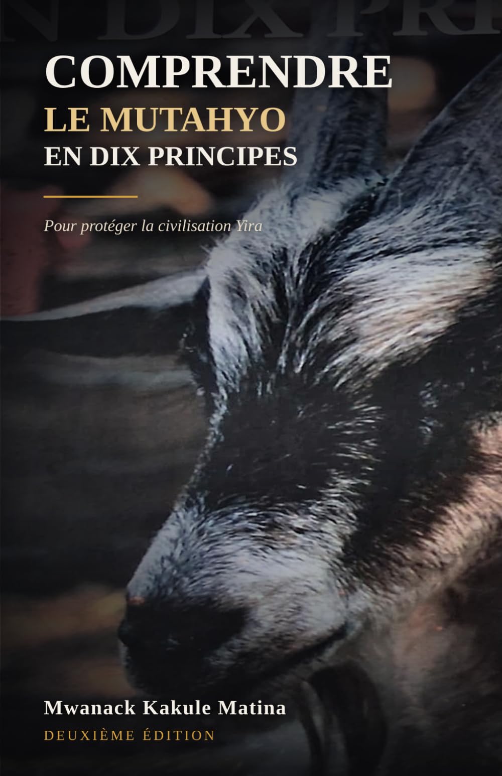 Comprendre le mutahyo en dix principes: Pour protéger la civilisation Yira