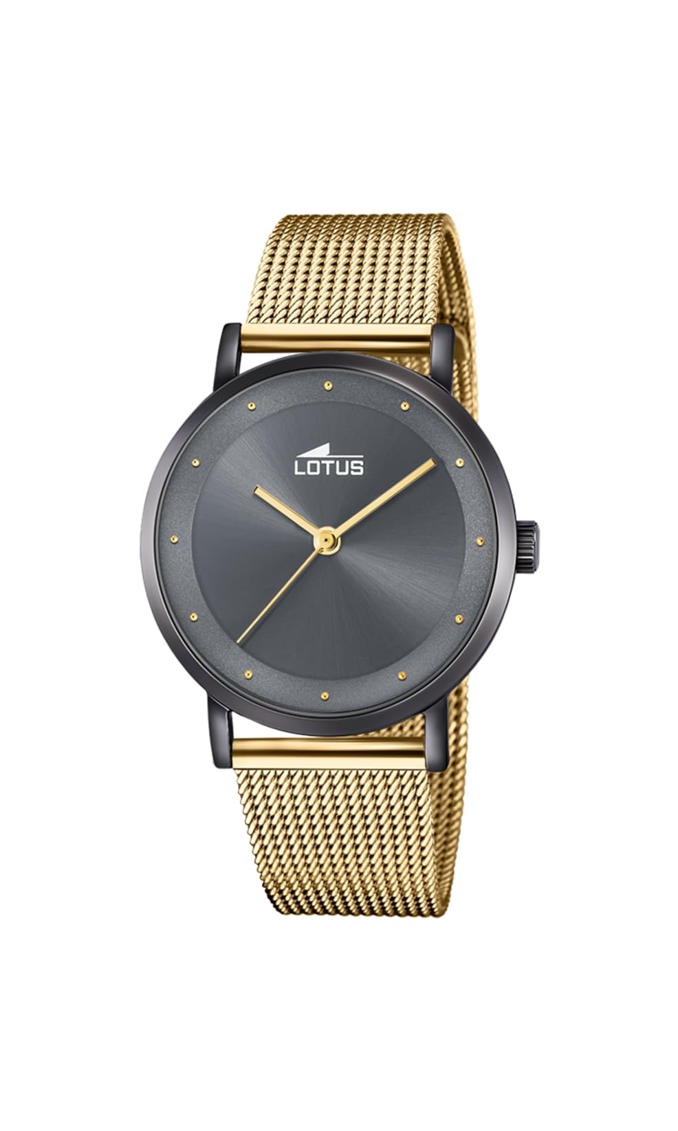 LOTUSAnalógico 18830/1