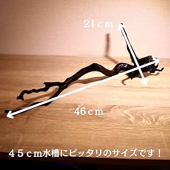 専用品 大型流木 アク抜き済み Amazon | アク抜き済み枝流木 45cm水槽用 沈水確認 あく抜き