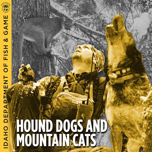 Ep. 15 - Hound Dogs and Mountain Cats with Carson Watkins