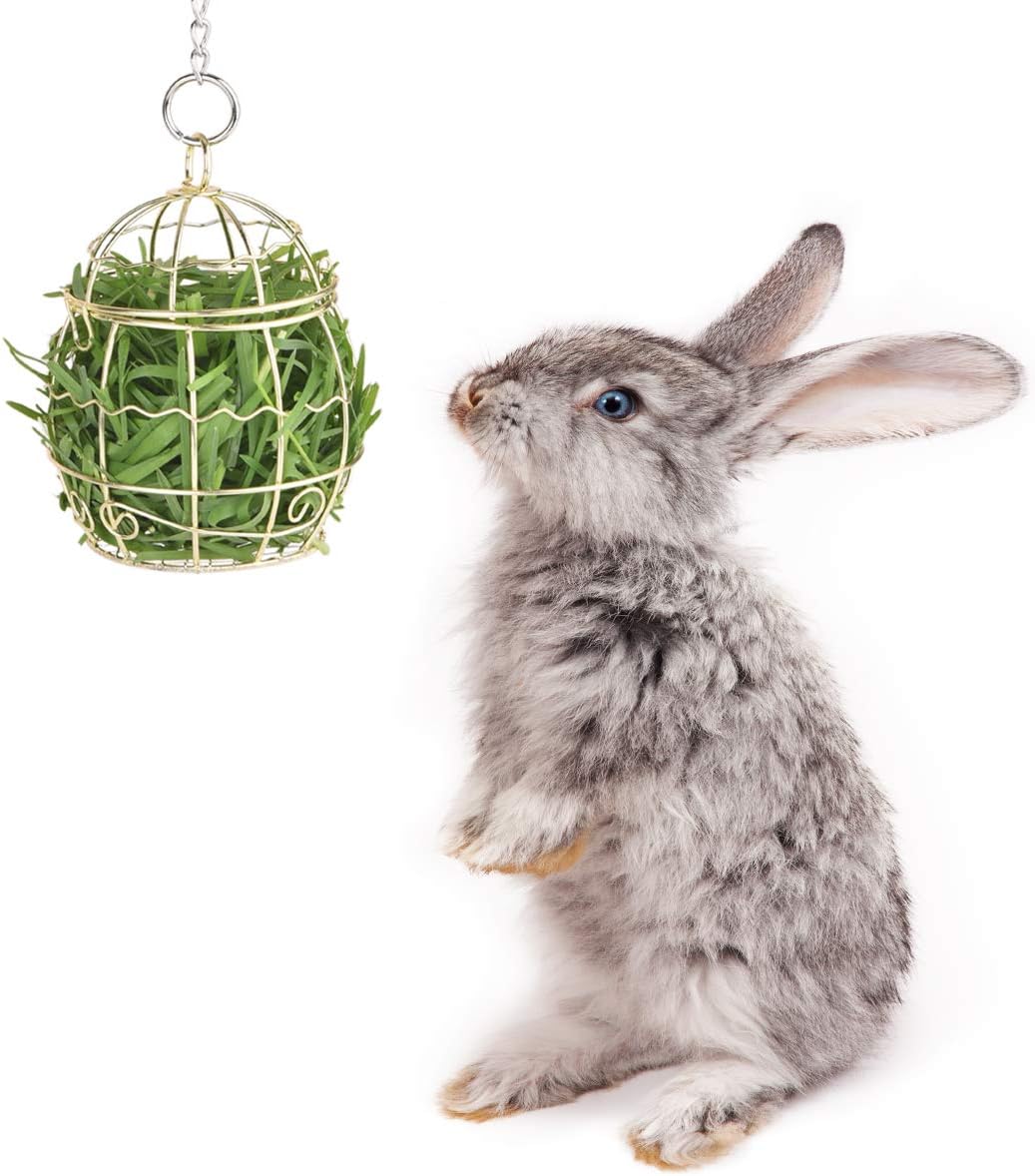 Pet Rabbit Feeder Toys Hanging Stainless Steel Feeder Food Treat Ball Cage for Small Animals Bunny Birds Hamsters Chinchilla Guinea Pigs