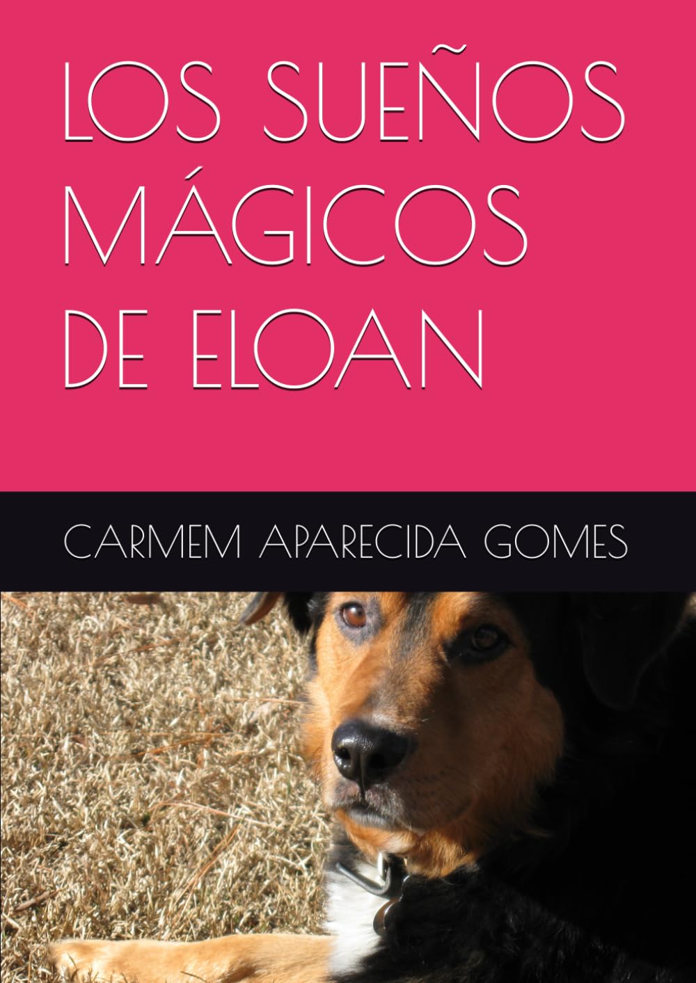 LOS SUEÑOS MÁGICOS DE ELOAN
