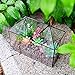 Large Glass Terrarium House Planter – Succulent Plant Glass Greenhouse with lid 9.8