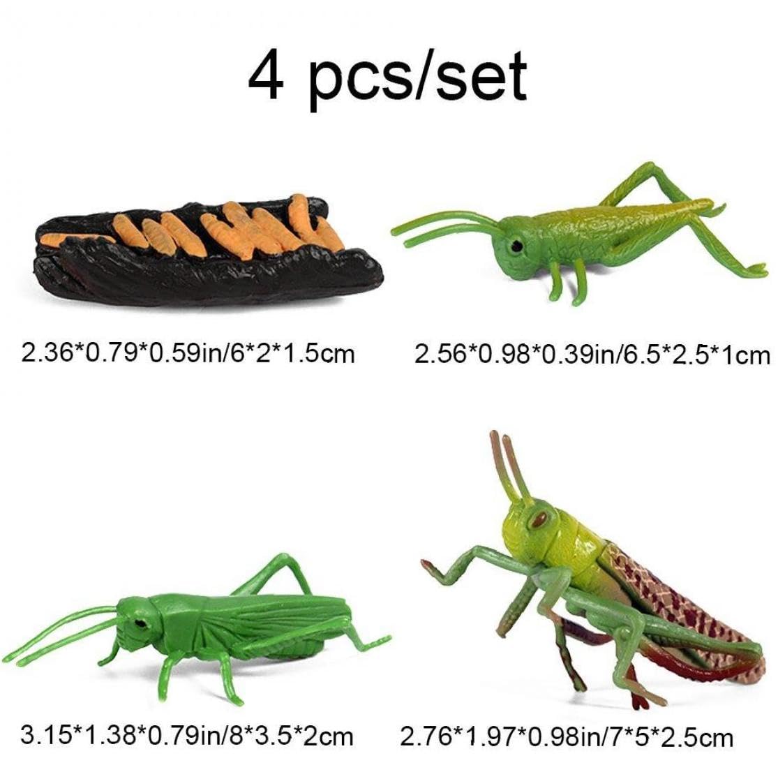 Amazon.co.jp: PiniceCoreシミュレーション昆虫フィギュア バッタ