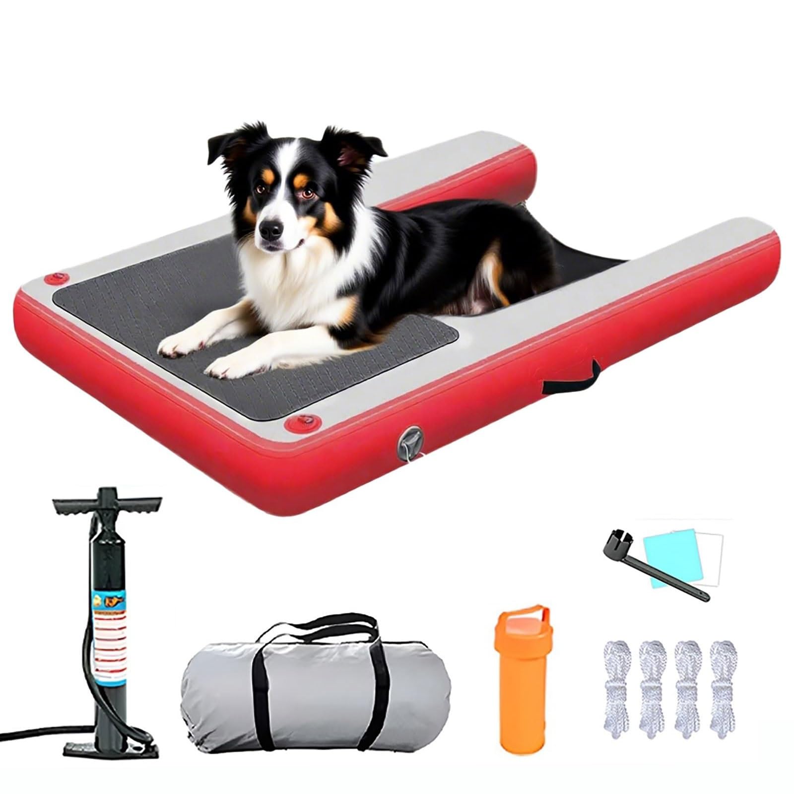 Rampe d'eau flottante pour chien en EVA antidérapant pour plateformes et piscines