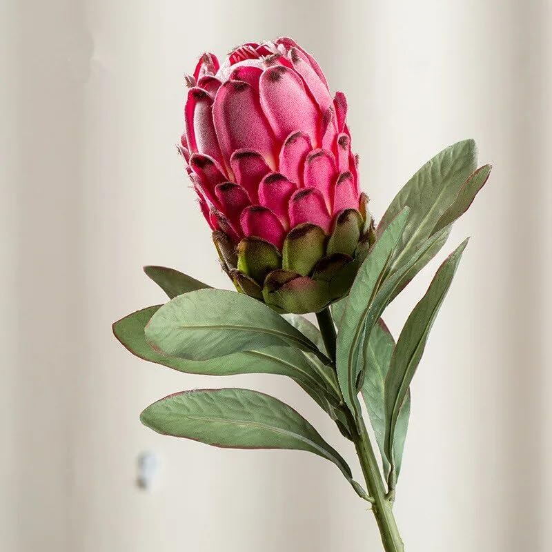 Miniatura 3 de EdricShop - Protea artificial y seca grande artificial de seda Cynaroides flores de plástico para decoración de boda, corona, plantas falsas flores