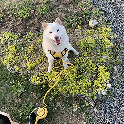 Upgraded Retractable Dog Leash, Heavy Duty Pet Walking Leash With Anti-Slip Handle, 16Ft Strong Nylon Tape For Small Medium Dogs Up To 66Lbs, One Button Lock & Release, Yellow M #TOP5