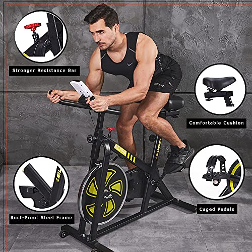 EILISON Exercise Bike Indoor Stationary Cycle for Home Workout- PRODUCTS WORTH $100 INSIDE (270 LBS Weight Capacity) (25LBS FLYWHEEL)