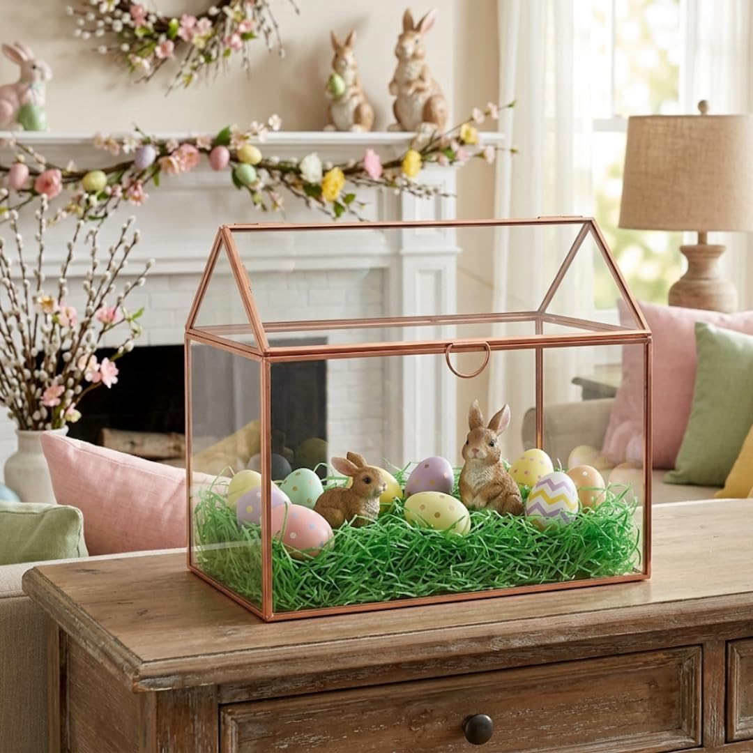 D'Eco Terrario in vetro (25,4 x 15,2 x 20,3 cm) - Terrario da tavolo per piante grasse, piante aeree, muschio, casa estiva, giardino, ufficio e matrimonio, decorazione botanica - regalo per